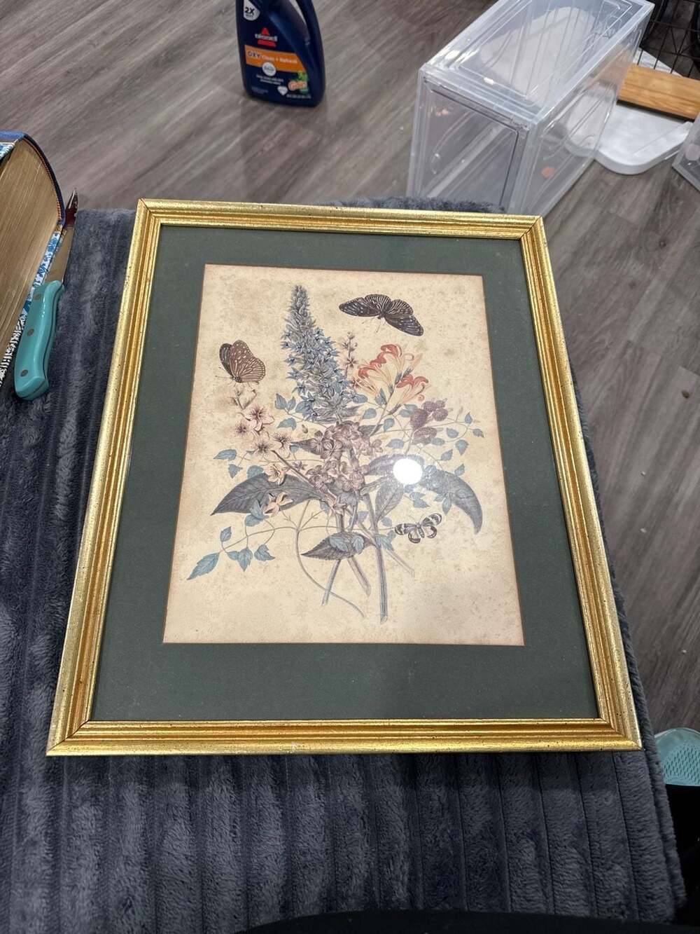 Vintage Framed Botanical Illustration with Butterflies and Blue Larkspur